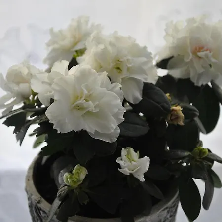 J&t Wczasowe Privat bolig