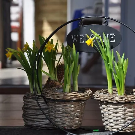 Privat bolig J&t Wczasowe Kołobrzeg