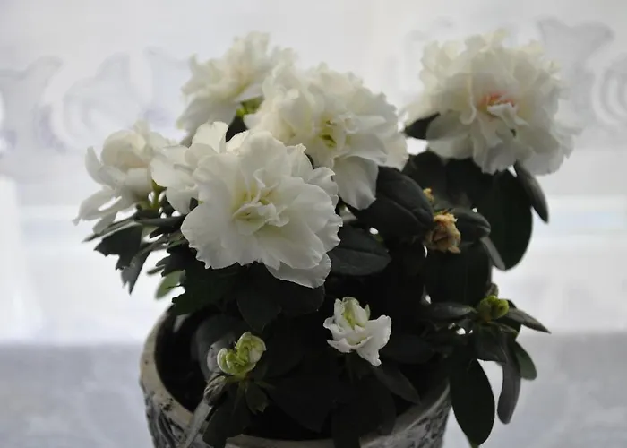 J&t Wczasowe Homestay